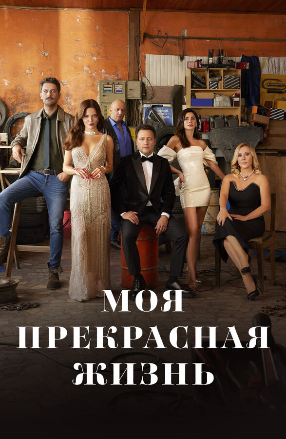 Моя прекрасная жизнь - постер